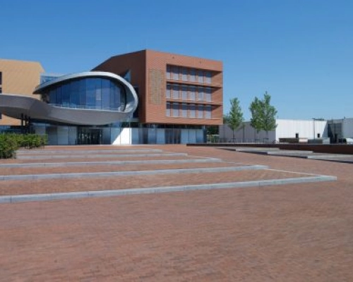 Gebakken Dikformaat Norton getrommeld 8cm .