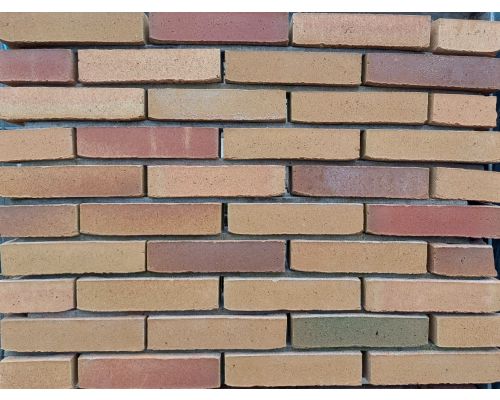 Metselsteen Koekoeksbloem geel rood wasserstrich waalformaat.